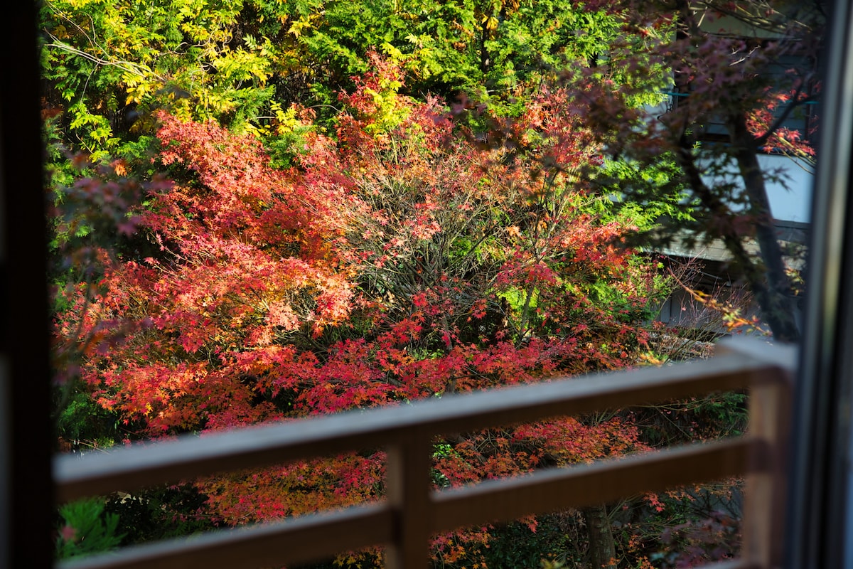 三条坊山荘 9